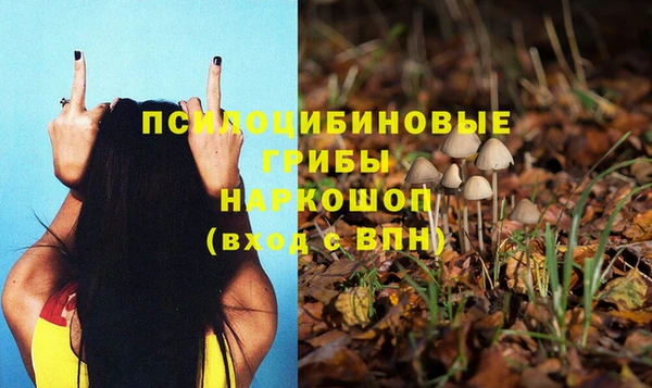 дурь Абинск
