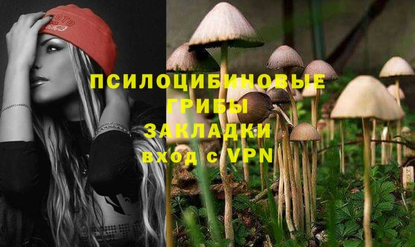 МДПВ Алексеевка