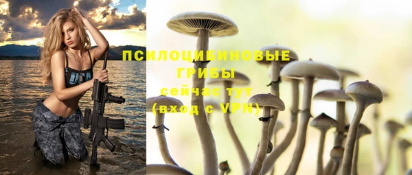 дурь Абинск