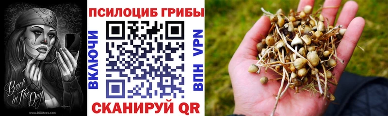 Галлюциногенные грибы прущие грибы  купить наркотики цена  Невинномысск 